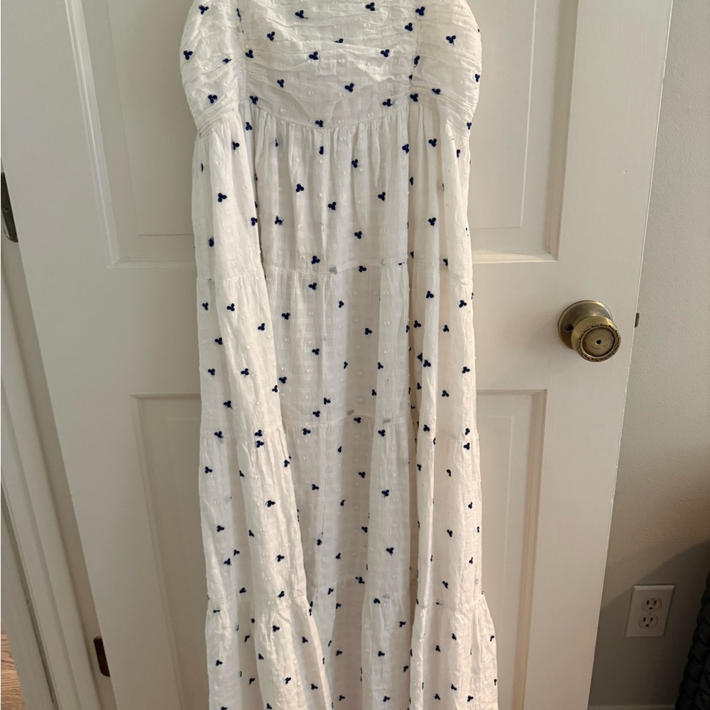 Zara White and Blue Maxi Dress